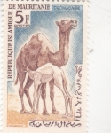 Stamps : Africa : Mauritania :  dromedarios