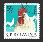 Sellos de Europa - Rumania -  1556 - Gallo