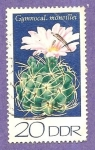 Stamps Germany -  INTERCAMBIO