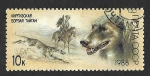 Stamps Russia -  5668 - Perros de Caza