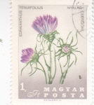 Stamps Hungary -  FLORES-