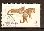 Stamps Romania -  TIGRES