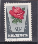 Stamps Hungary -  FLOR- rosa