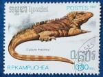 Stamps : Asia : Cambodia :  Cyclura macleayi