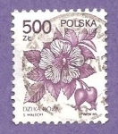 Stamps Poland -  INTERCAMBIO