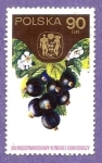 Stamps Poland -  INTERCAMBIO