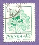 Stamps Poland -  INTERCAMBIO