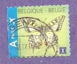 Stamps Belgium -  INTERCAMBIO