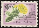 Stamps Romania -  Opuntia vulgaris - Chumbera -  Centenario del Jardín botánico de Bucarest