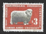 Sellos de America - Uruguay -  C304 - Cría de Ovinos Uruguayos