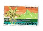 Stamps : Europe : Spain :  Edifil 2469. Protección de la naturaleza. Edelweiss del Pirineo