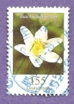 Stamps Germany -  INTERCAMBIO