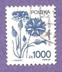 Stamps Poland -  INTERCAMBIO