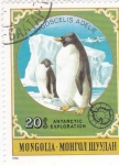 Stamps Mongolia -  Pingüino Adelia (Pygoscelis adeliae)
