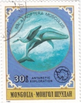 Stamps Mongolia -  Ballena Azul (Balaenoptera musculus)