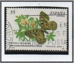 Stamps : Europe : Spain :  Fauna Española en Peligro: Pasassius Apollo