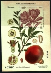Sellos de Europa - Espa�a -  Flora- Ilustración Botánica