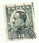 Sellos de Europa - España -  Alfonso XIII tipo Vaquer de perfil-493