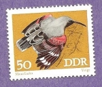 Stamps Germany -  INTERCAMBIO