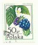 Stamps Poland -  Frutos silvestres