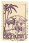 Stamps Africa - Morocco -  gacelas