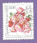 Stamps Germany -  INTERCAMBIO