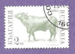 Stamps Bulgaria -  INTERCAMBIO