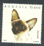 Sellos de Europa - Rumania -  Gato