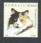 Stamps Romania -  Gato