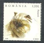 Stamps : Europe : Romania :  Gato