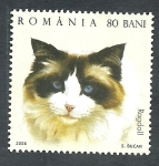 Stamps Romania -  Gato