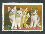 Stamps Equatorial Guinea -  gatos  Domesticos