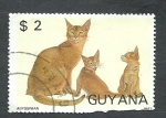 Stamps : America : Guyana :  gatos  Domesticos