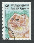Stamps : Africa : Morocco :  Gato
