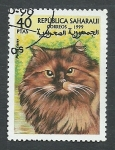 Stamps : Africa : Morocco :  Gato