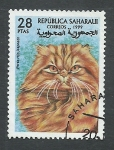 Sellos de Africa - Marruecos -  Gato