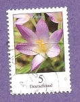 Stamps Germany -  INTERCAMBIO