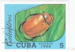 Sellos de America - Cuba -  insecto 