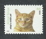 Stamps United States -  Gatos domesticos