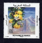 Stamps Morocco -  El Limonero