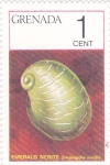 Stamps Grenada -  CARACOLA NERITA