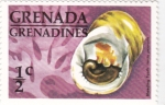 Stamps : America : Grenada :  CARACOLA