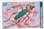 Stamps : Africa : Rwanda :  insecto 