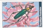 Stamps Rwanda -  insecto 