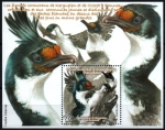 Stamps Europe - French Southern and Antarctic Lands -  Cormoranes