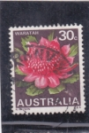 Stamps Australia -  FLORES- waratah