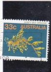 Stamps Australia -  leafy sea-dragon