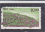  de Asia - India -  bosque