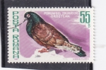 Stamps Romania -  AVE-