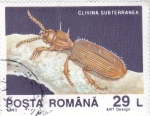 Stamps Romania -  INSECTO